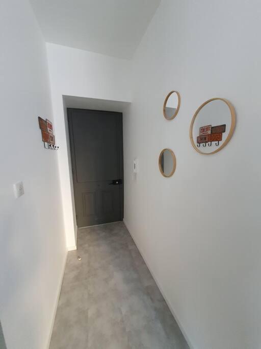 Roanne Centre, Appartement Refait A Neuf. 外观 照片
