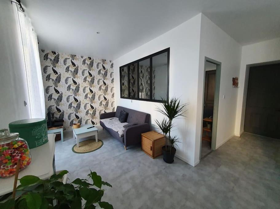 Roanne Centre, Appartement Refait A Neuf. 外观 照片